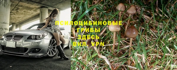 мяу мяу кристалл Богданович