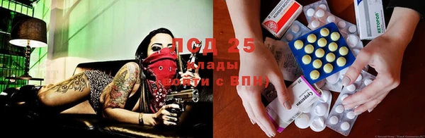 прущая мука Богородицк