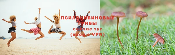 мяу мяу кристалл Богданович