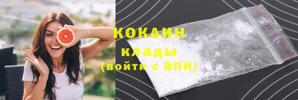 прущая мука Богородицк