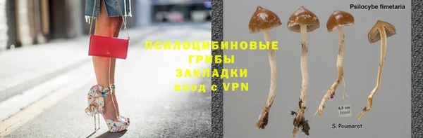 ешки Богородск