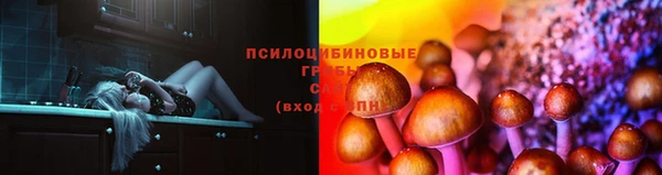 прущая мука Богородицк