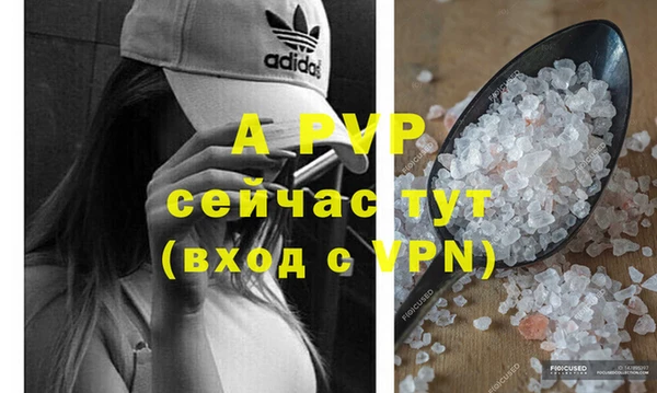мяу мяу кристалл Богданович
