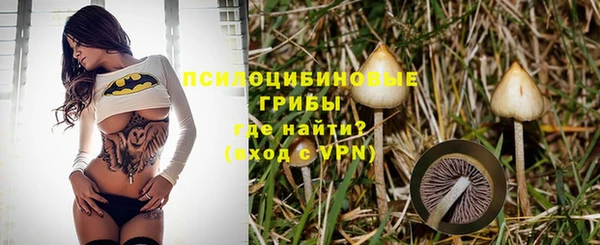 мяу мяу кристалл Богданович