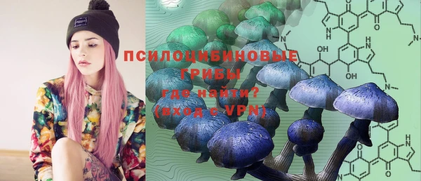 мяу мяу кристалл Богданович