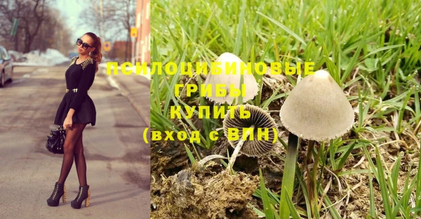 прущая мука Богородицк