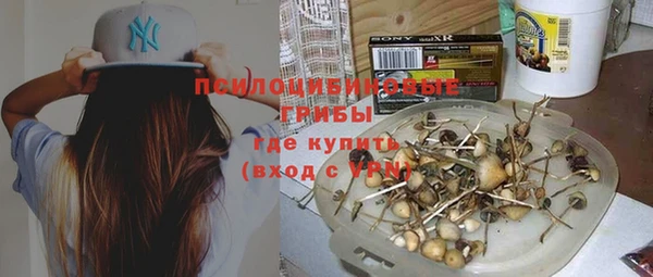 прущая мука Богородицк